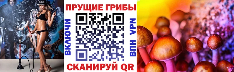 Галлюциногенные грибы GOLDEN TEACHER Олёкминск